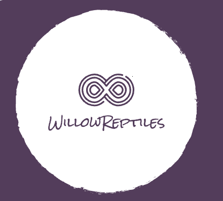 Affordable Willow Reptiles Online